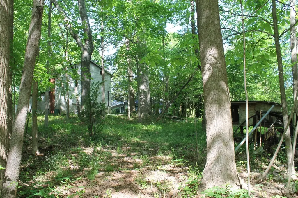 Picture 8