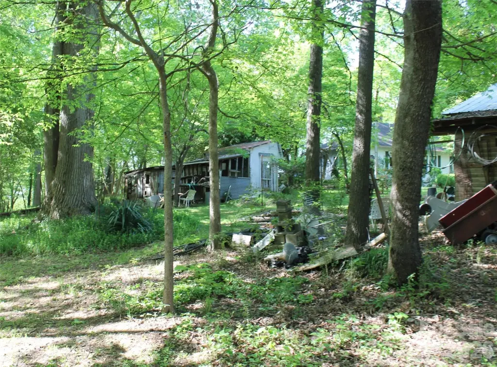 Picture 9