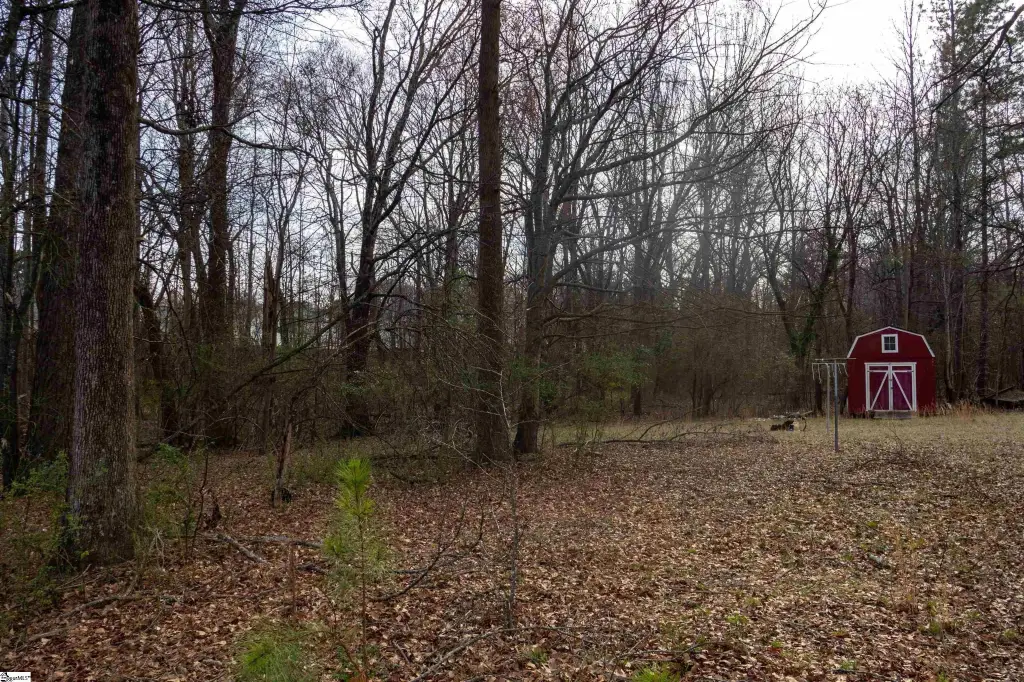 Picture 33