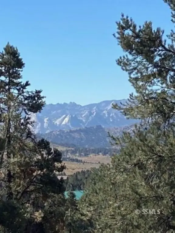 Picture 27