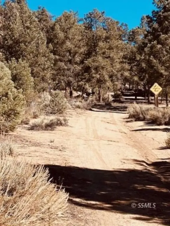 Picture 21