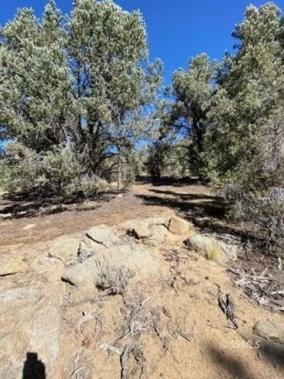 Picture 31