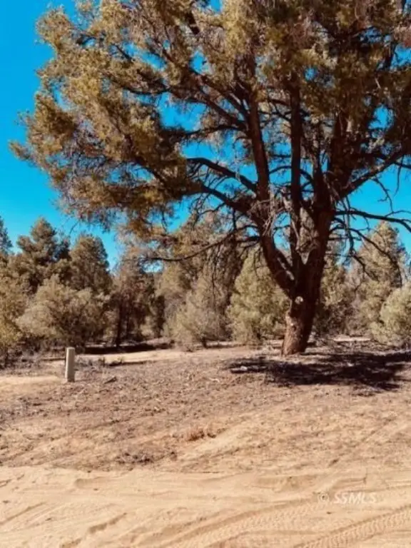 Picture 23