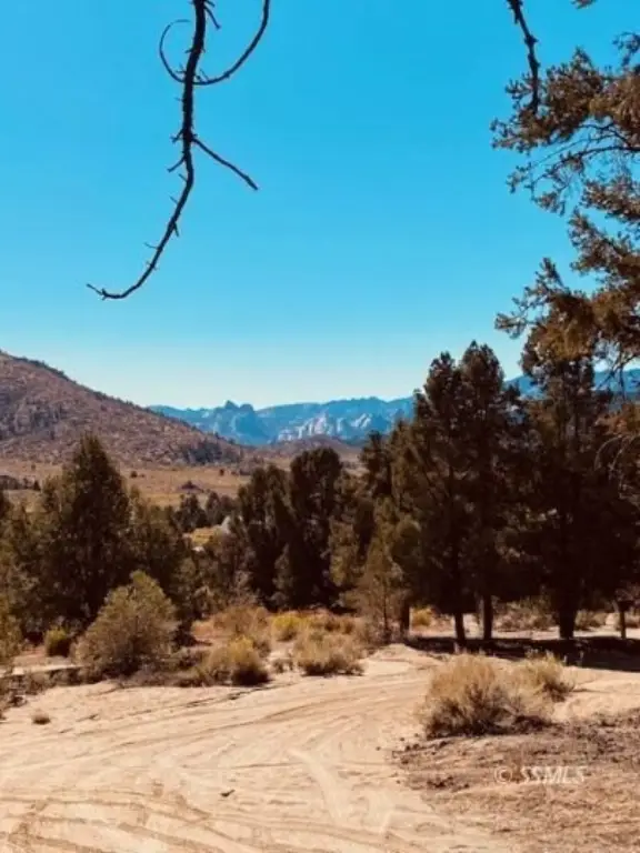 Picture 3