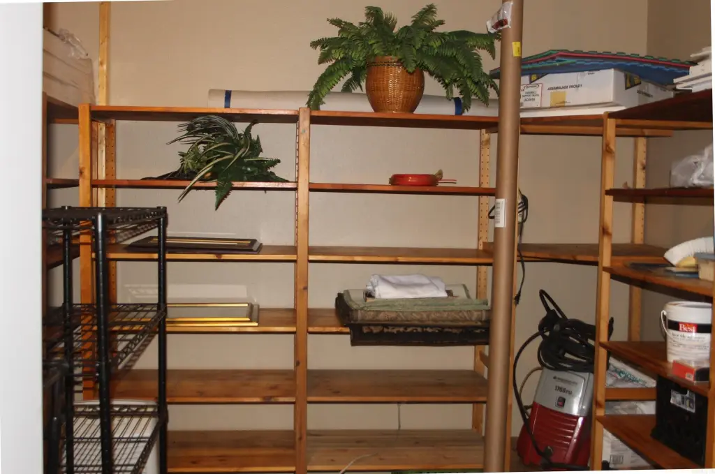 Picture 38