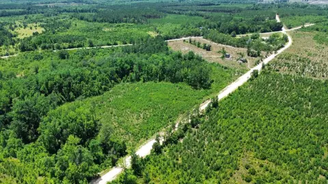 6-Acre Lot in Chesterfield, SC