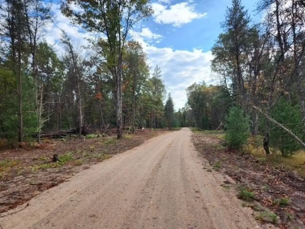 Picture 3