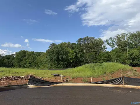 Guntersville Lot with Lake Views