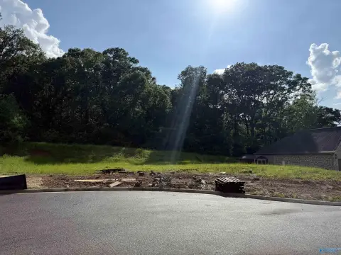 Guntersville Lot with Lake Views