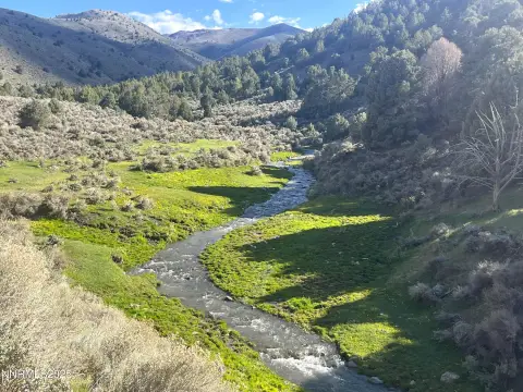 324 Acres in Mill Creek Canyon