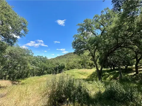 53-Acre Santa Maria Land Parcel