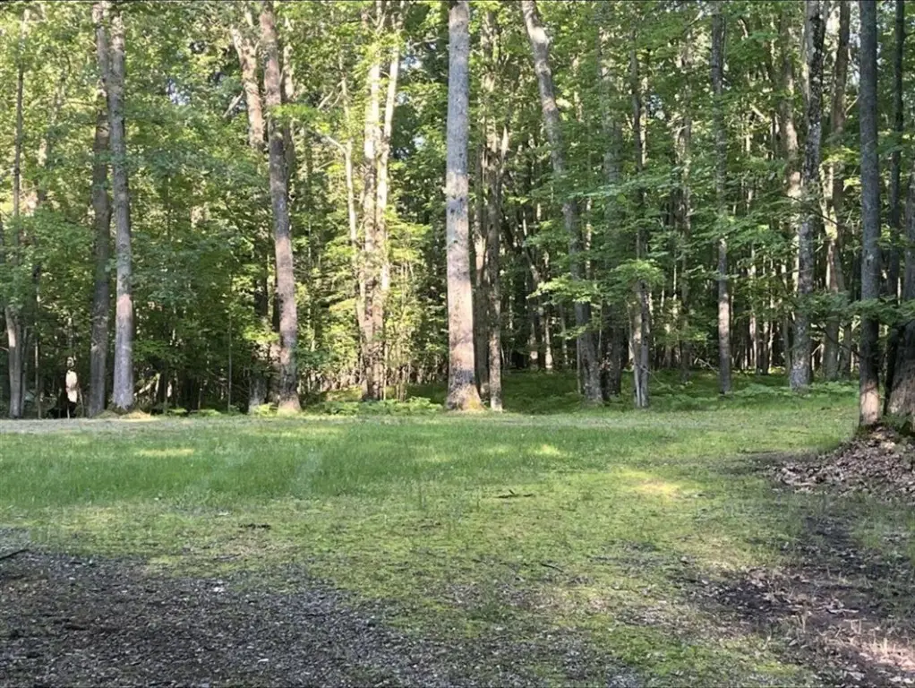 Picture 18