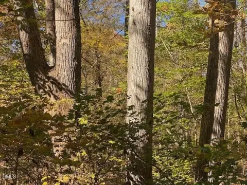 Orange County Land Parcel