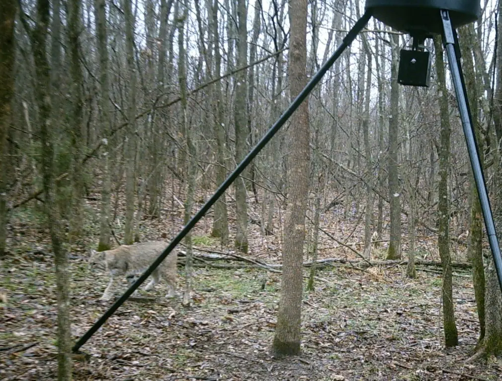Picture 14