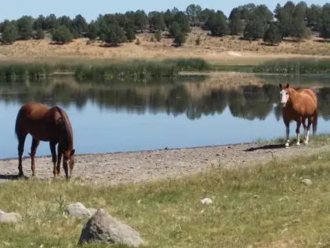 Sprague River 160-Acre Agricultural Property