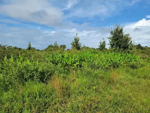 Okeechobee Residential Land Opportunity