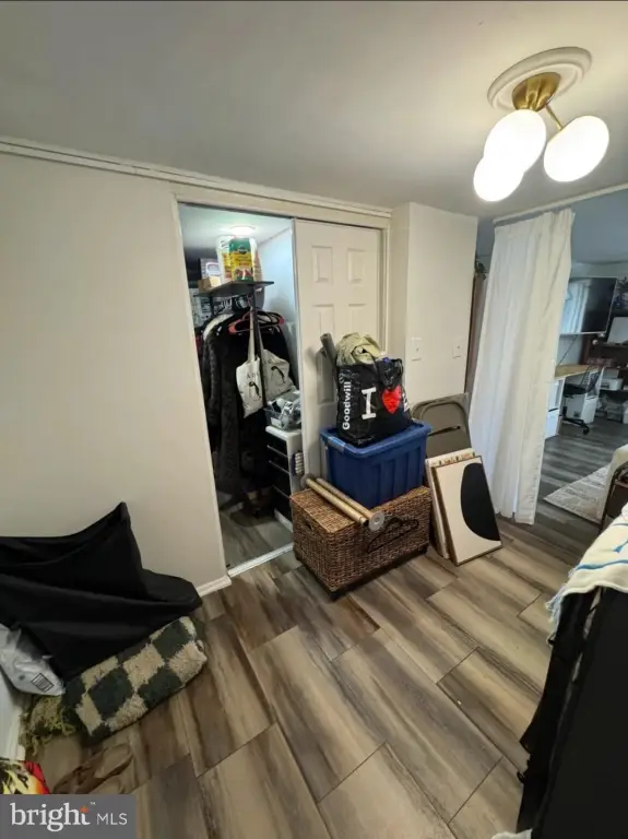 Picture 24
