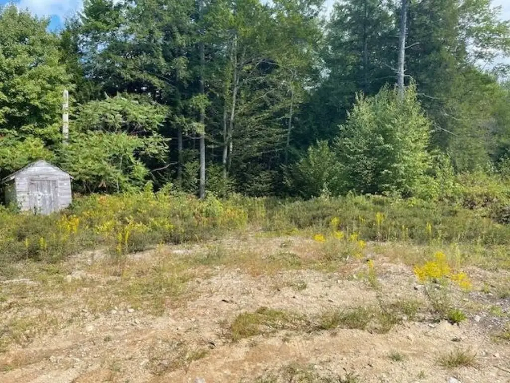 Picture 15
