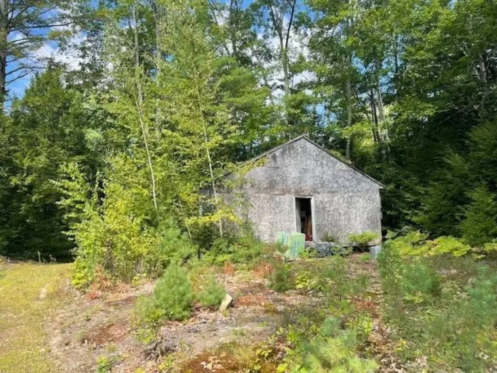 Picture 13