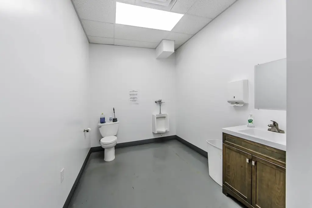 Picture 19