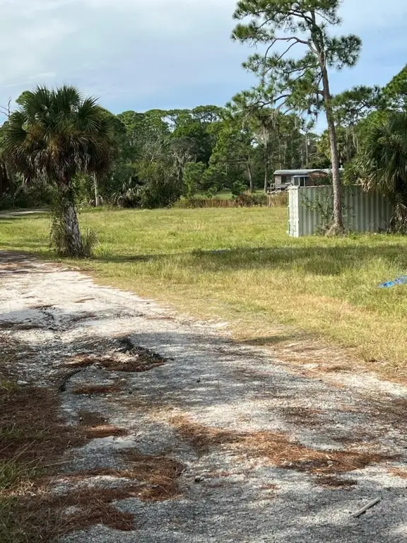 Picture 5