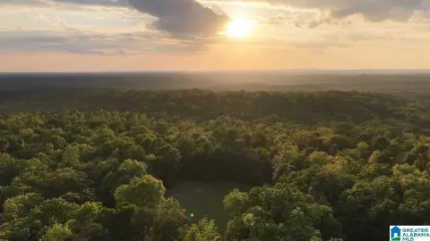 Hunting Land Tract with Year-Round Creek