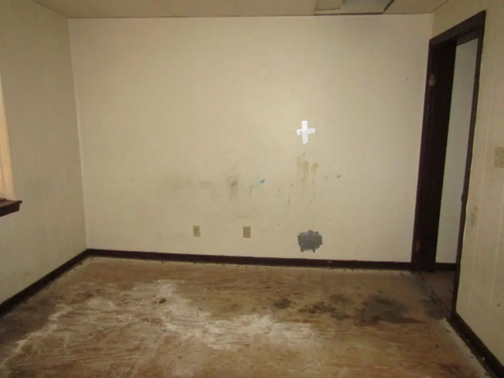 Picture 34