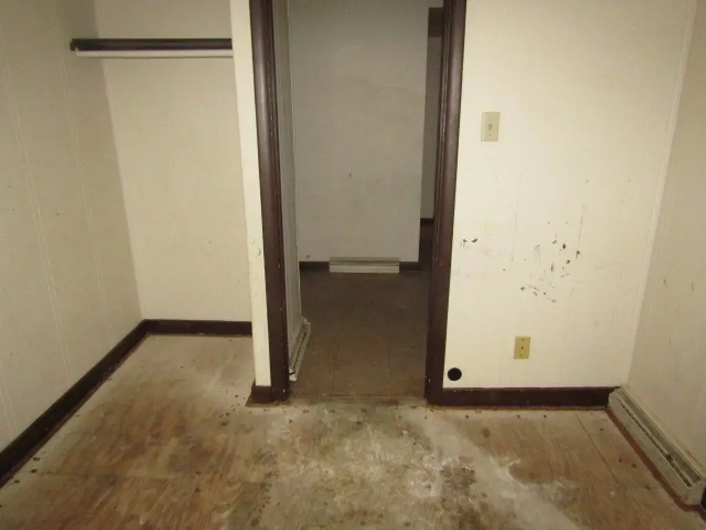 Picture 31