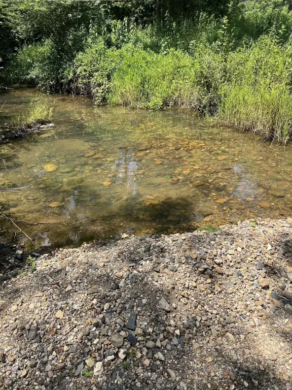 Picture 19