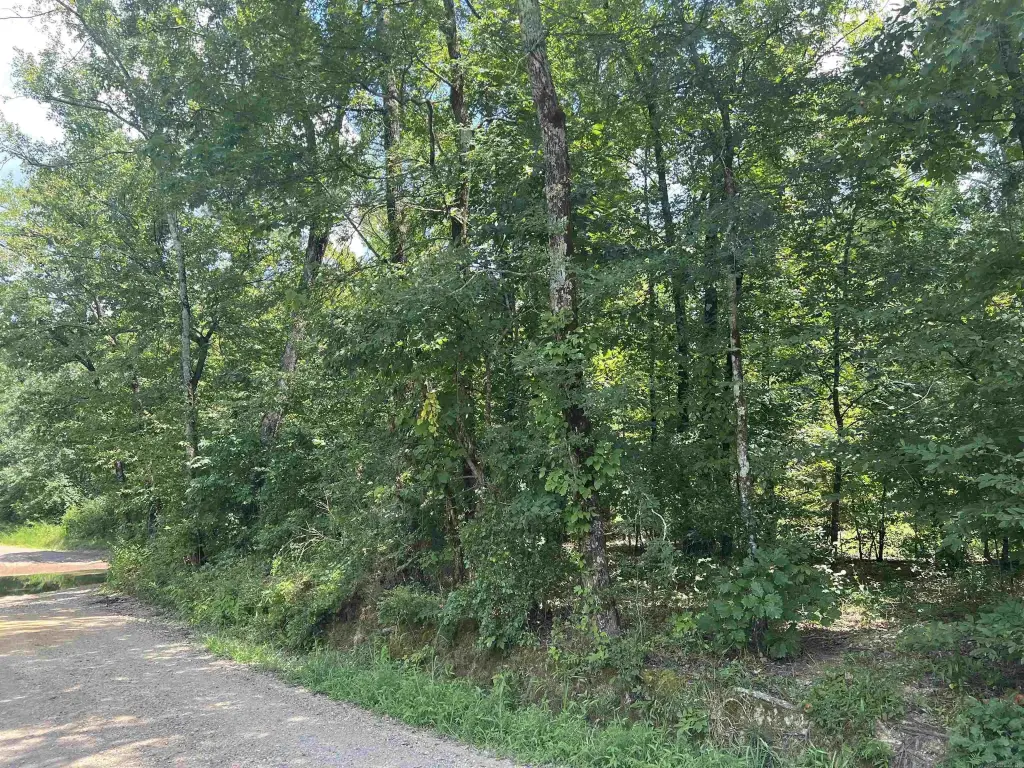 Picture 21