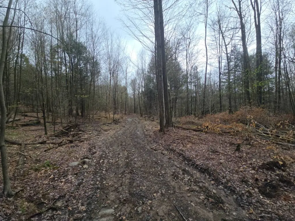 Picture 17