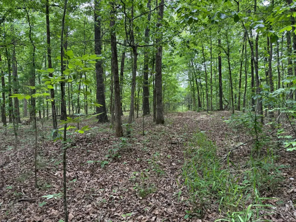 Picture 7