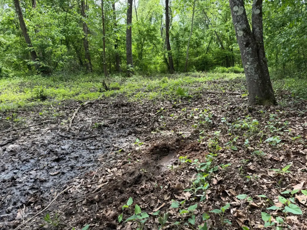 Picture 15