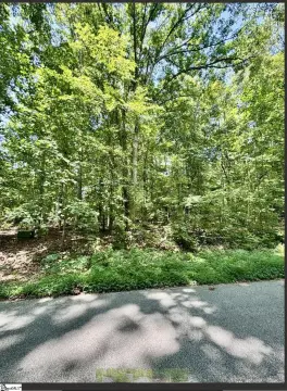 Residential Lot in Rural Laurens