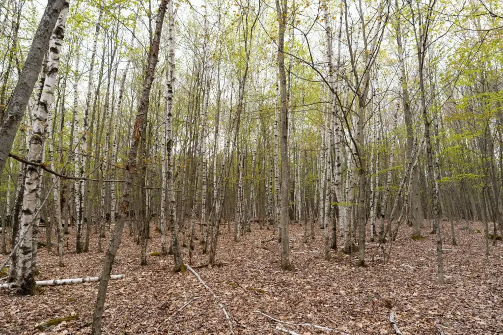 Picture 22