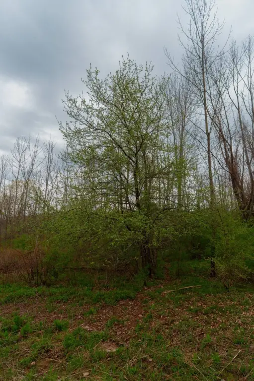 Picture 23