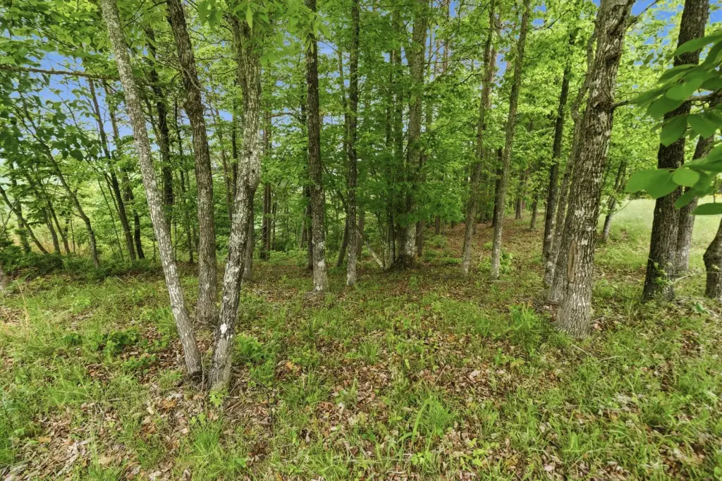 Picture 21
