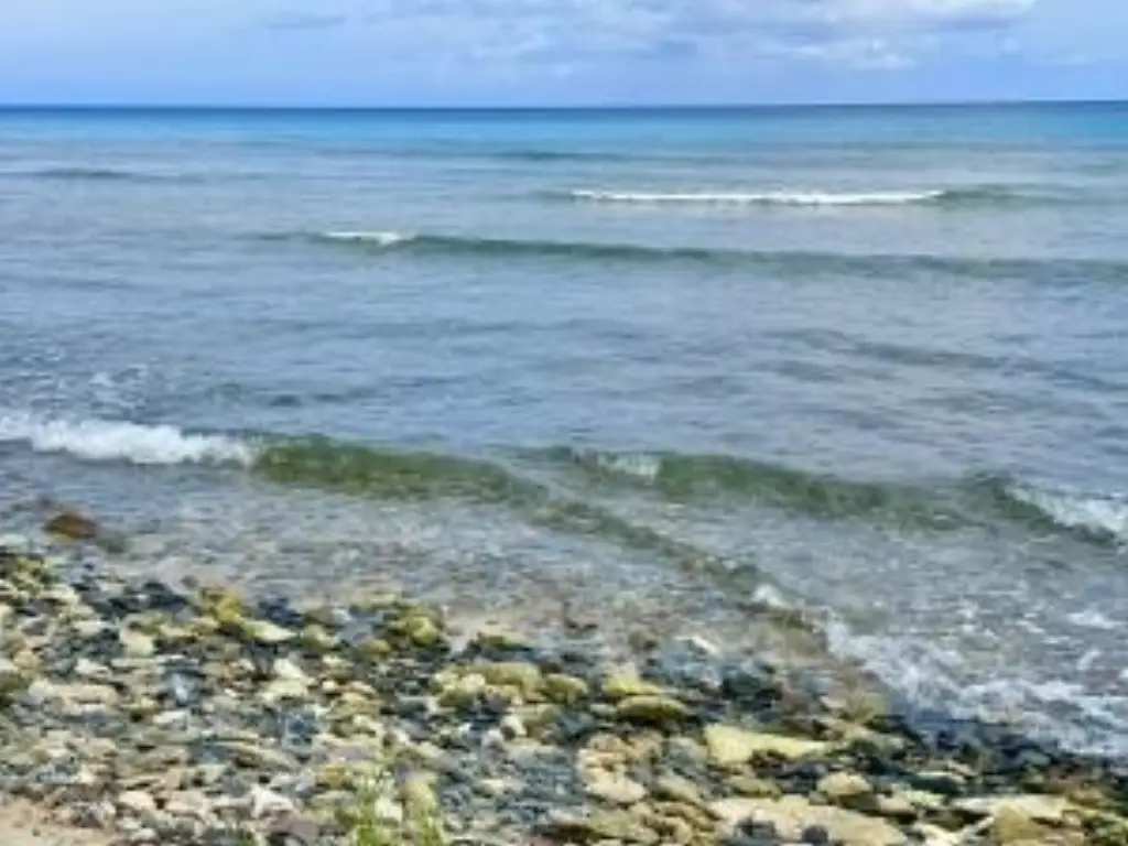 Picture 10