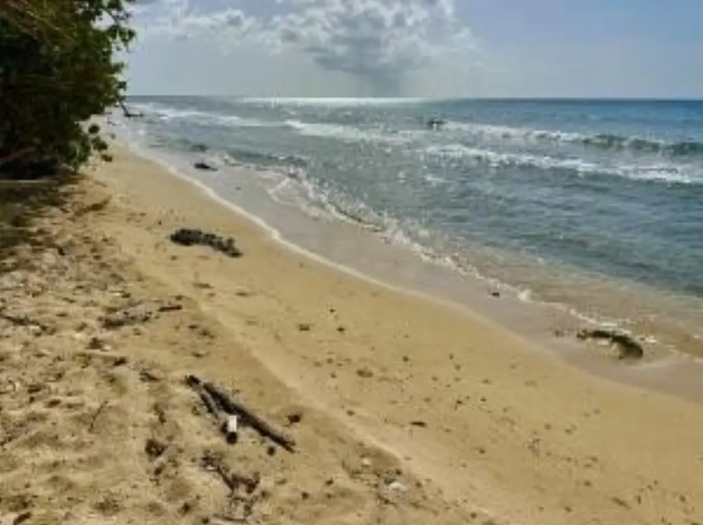 Picture 13