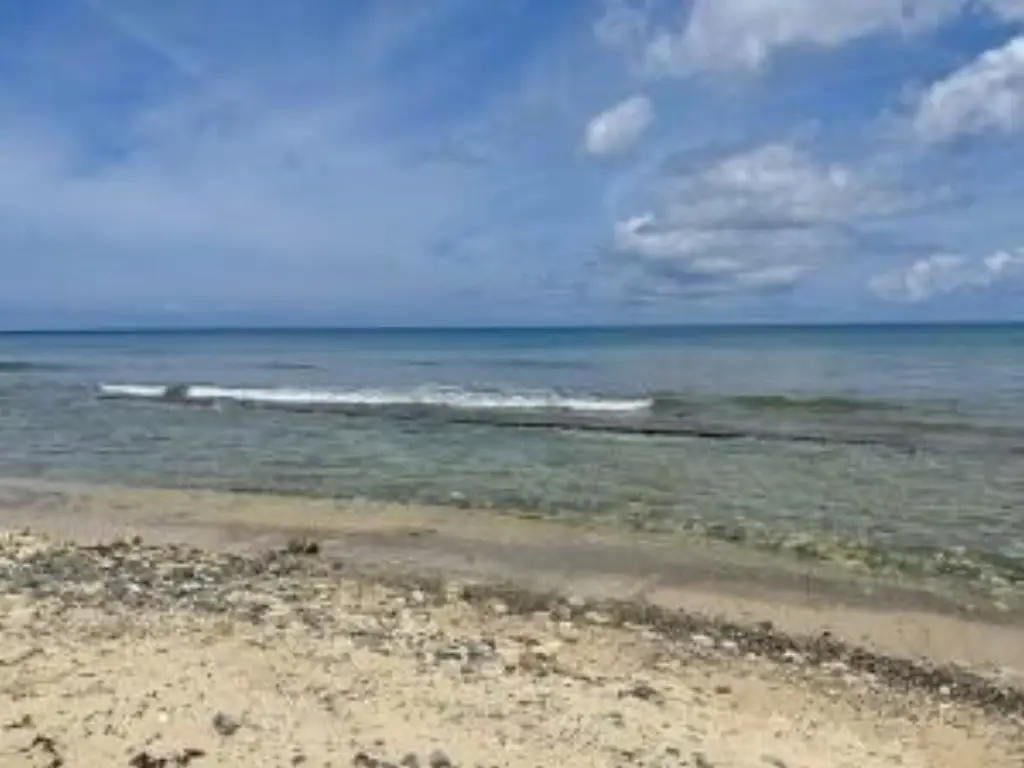 Picture 12