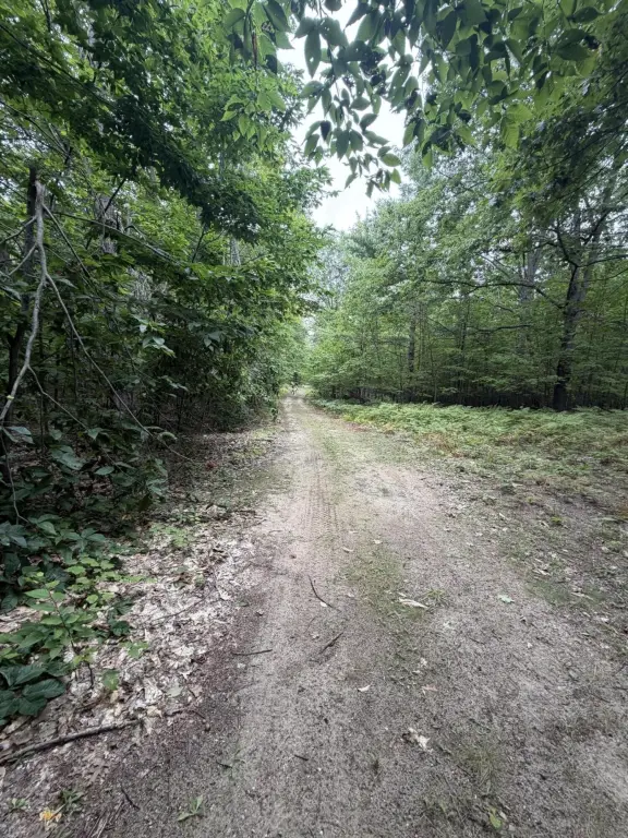 Picture 10