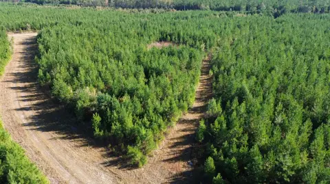 24 Acres of Vacant Land