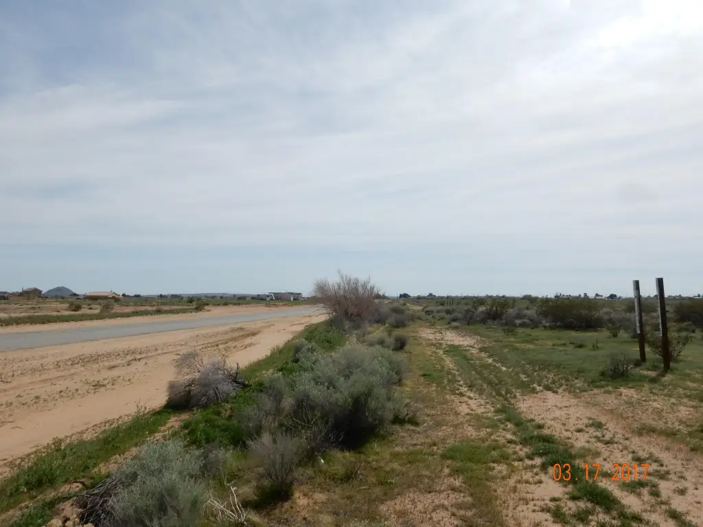 Picture 8