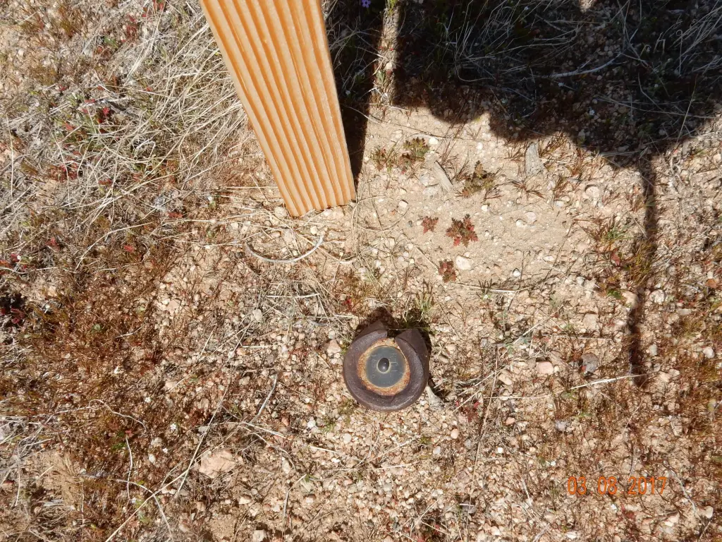 Picture 12