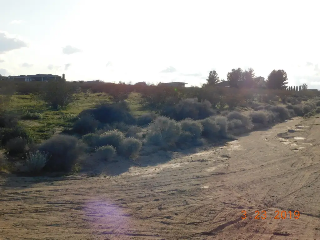 Picture 4