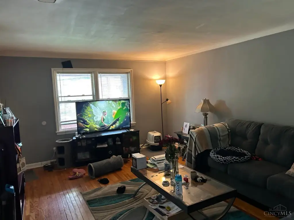 Picture 17
