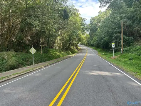 Residential Lots in Guntersville, AL