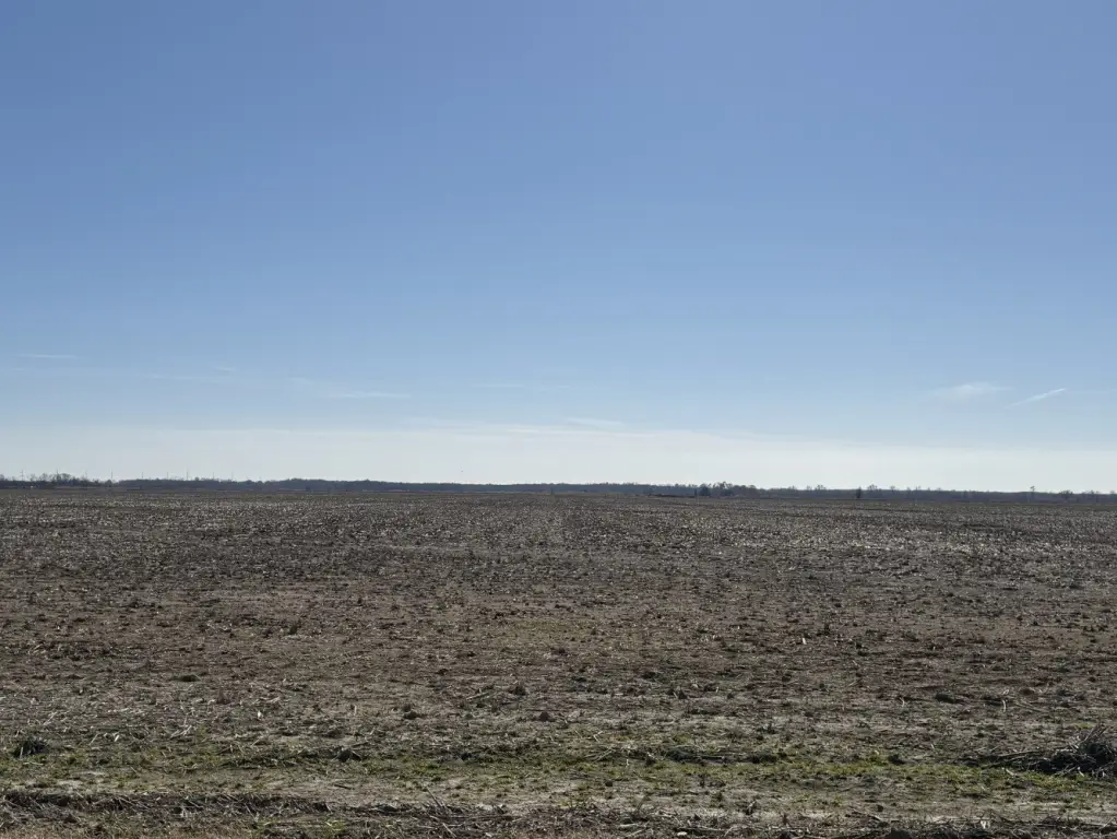 Picture 23