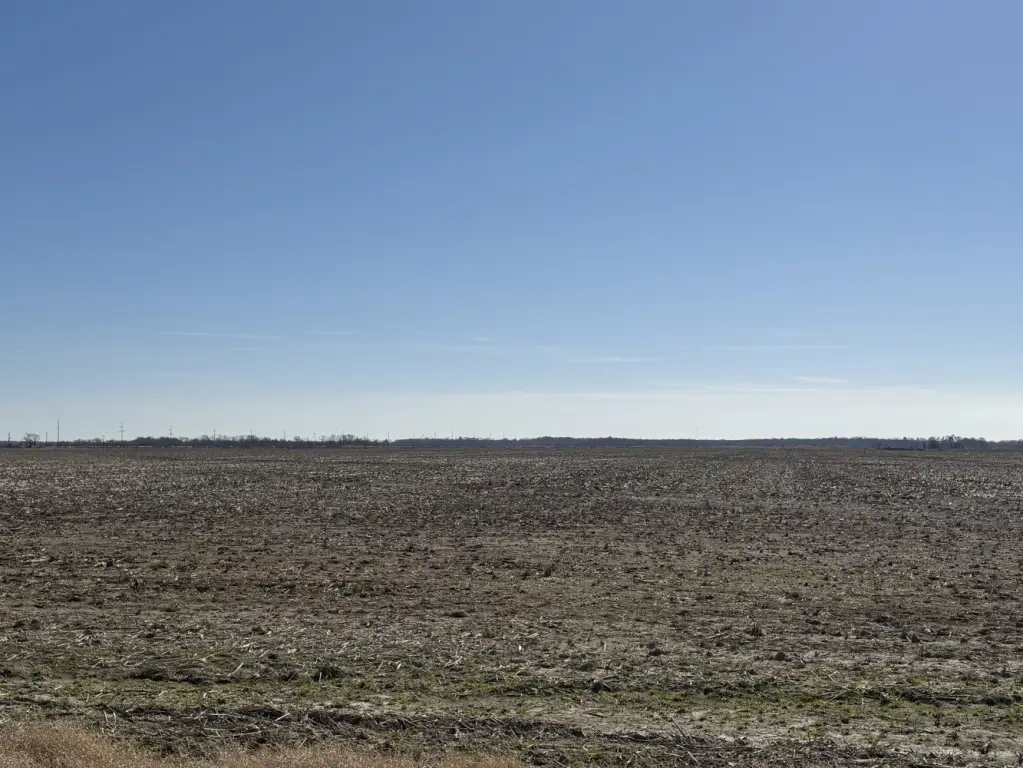 Picture 24
