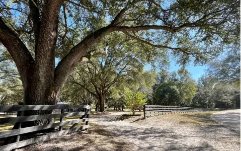 McAlpin Acreage with Equestrian Features